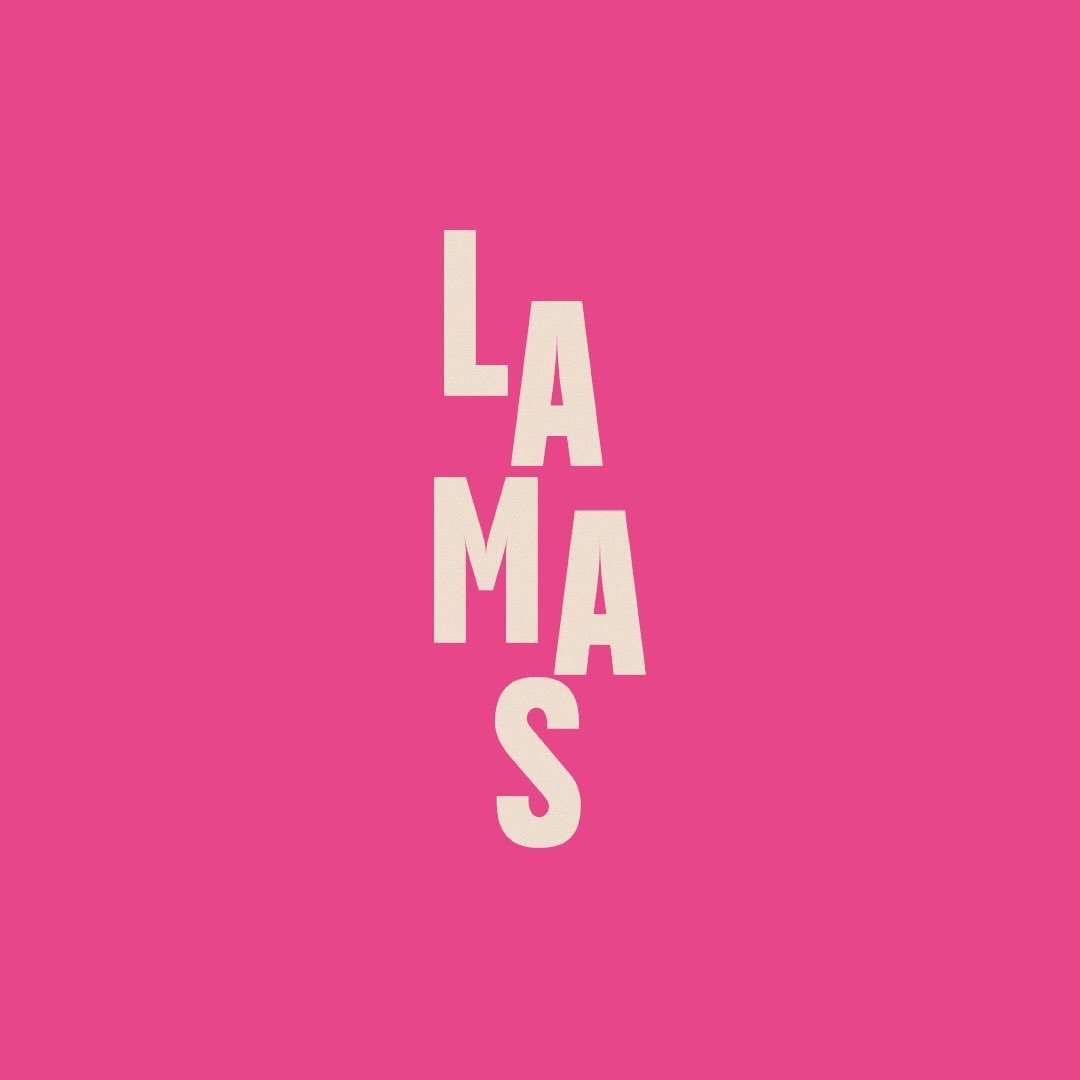 Castillo Lamas