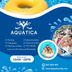 Aquatica Sábado 1 de febrero