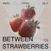 Permitidos - Between Strawberries