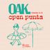 OAK Opening PDE