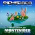 Picheo 808